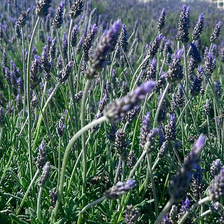 Pieds Dans L Eau Linges De Maison Inclus Empuriabrava Εξωτερικό φωτογραφία
